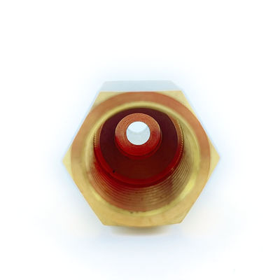 Customized Precision CNC Machined Solution Bleeding Nipple with Tolerance /-0.05mm